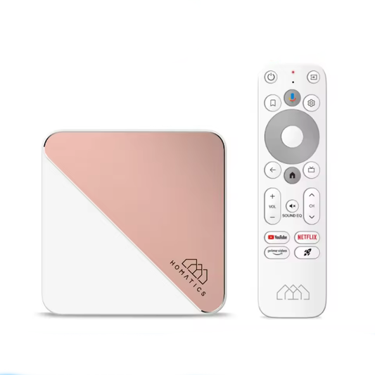 Netflix Google Certified HOMATICS Box R 4K Plus